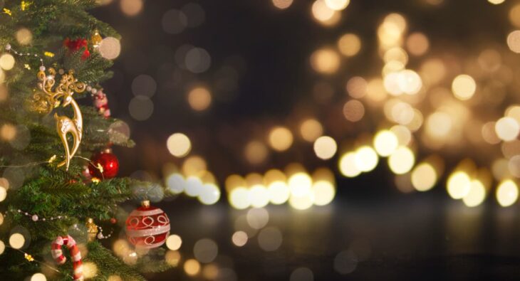 Nejoblíbenější vánoční ozdoby a dekorace. Nápady na vánoční výzdoby.