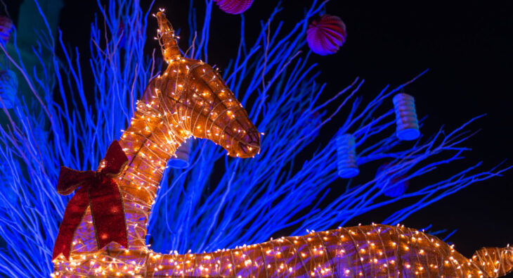 Krásné vánoční ozdoby dodají sváteční náladu